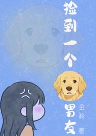 捡了个狗怎么办