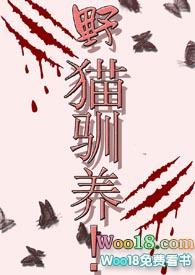 ⒊野猫驯养