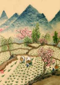 重生年代文文