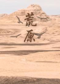 荒原主角